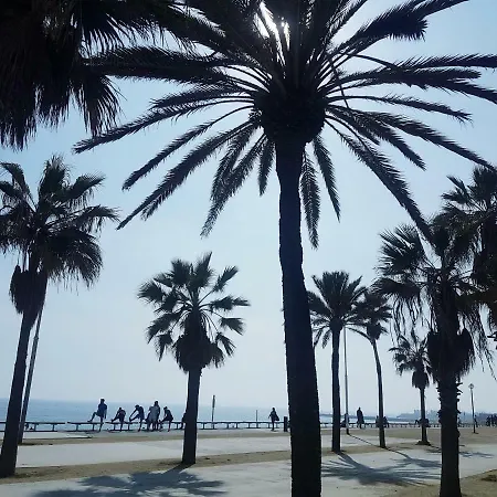 Rambla Poblenou&Mar Bella Beach-3